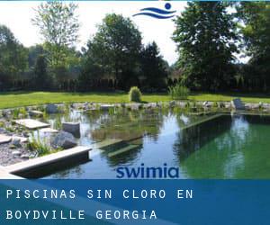 Piscinas sin cloro en Boydville (Georgia)