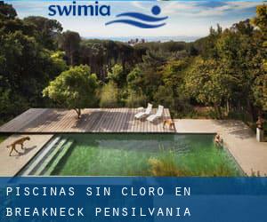 Piscinas sin cloro en Breakneck (Pensilvania)