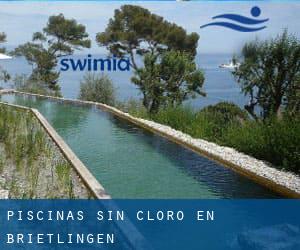 Piscinas sin cloro en Brietlingen