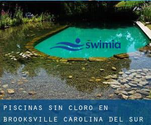 Piscinas sin cloro en Brooksville (Carolina del Sur)