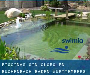 Piscinas sin cloro en Buchenbach (Baden-Württemberg)