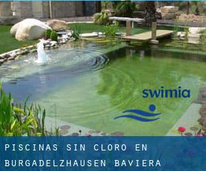 Piscinas sin cloro en Burgadelzhausen (Baviera)