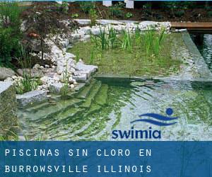 Piscinas sin cloro en Burrowsville (Illinois)