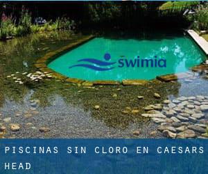 Piscinas sin cloro en Caesars Head