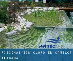 Piscinas sin cloro en Camelot (Alabama)