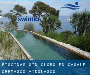 Piscinas sin cloro en Casale Cremasco-Vidolasco