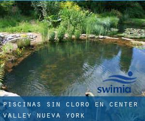 Piscinas sin cloro en Center Valley (Nueva York)