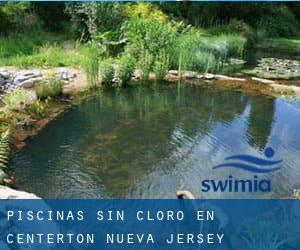 Piscinas sin cloro en Centerton (Nueva Jersey)