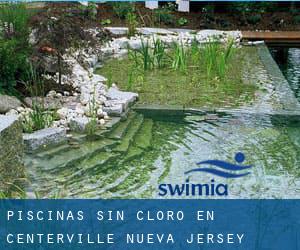 Piscinas sin cloro en Centerville (Nueva Jersey)