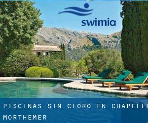 Piscinas sin cloro en Chapelle-Morthemer