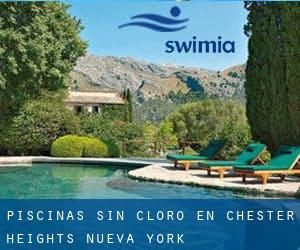 Piscinas sin cloro en Chester Heights (Nueva York)