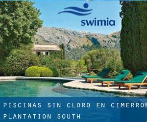 Piscinas sin cloro en Cimerron Plantation South