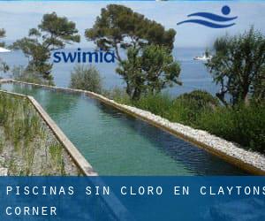 Piscinas sin cloro en Claytons Corner