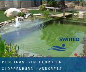 Piscinas sin cloro en Cloppenburg Landkreis