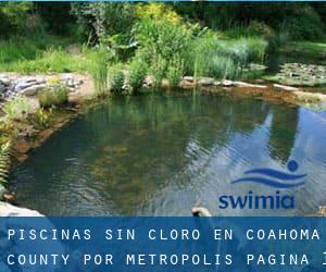 Piscinas sin cloro en Coahoma County por Metropolis - página 1