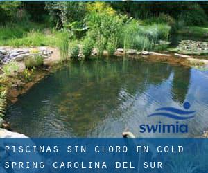 Piscinas sin cloro en Cold Spring (Carolina del Sur)