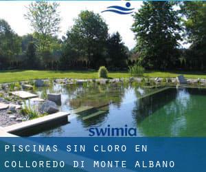 Piscinas sin cloro en Colloredo di Monte Albano