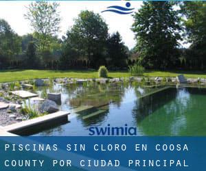 Piscinas sin cloro en Coosa County por Ciudad Principal - página 1