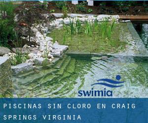 Piscinas sin cloro en Craig Springs (Virginia)