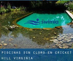 Piscinas sin cloro en Cricket Hill (Virginia)