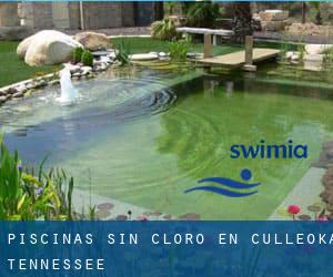 Piscinas sin cloro en Culleoka (Tennessee)