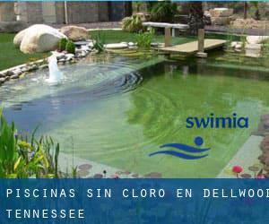 Piscinas sin cloro en Dellwood (Tennessee)