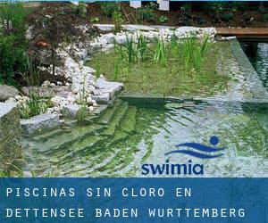 Piscinas sin cloro en Dettensee (Baden-Württemberg)