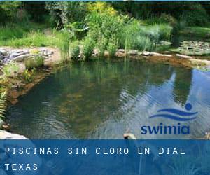 Piscinas sin cloro en Dial (Texas)