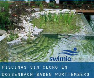 Piscinas sin cloro en Dossenbach (Baden-Württemberg)