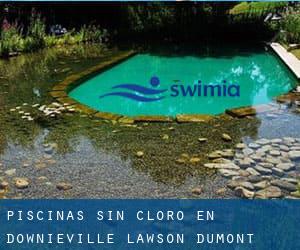 Piscinas sin cloro en Downieville-Lawson-Dumont