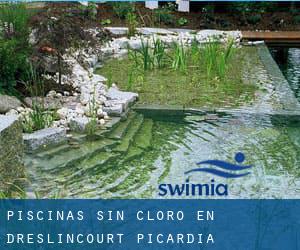 Piscinas sin cloro en Dreslincourt (Picardía)