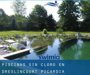 Piscinas sin cloro en Dreslincourt (Picardía)