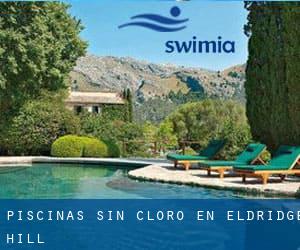 Piscinas sin cloro en Eldridge Hill