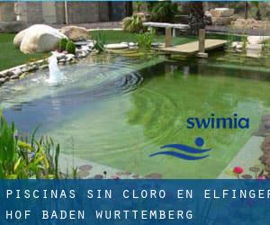 Piscinas sin cloro en Elfinger Hof (Baden-Württemberg)