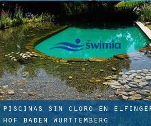 Piscinas sin cloro en Elfinger Hof (Baden-Württemberg)