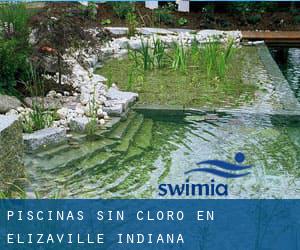 Piscinas sin cloro en Elizaville (Indiana)