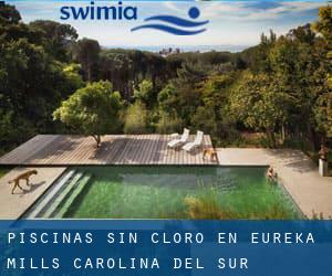 Piscinas sin cloro en Eureka Mills (Carolina del Sur)