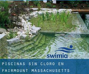 Piscinas sin cloro en Fairmount (Massachusetts)