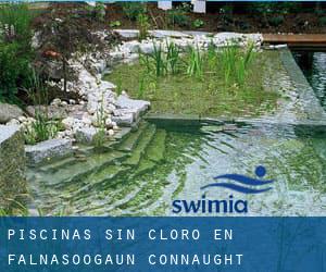 Piscinas sin cloro en Falnasoogaun (Connaught)