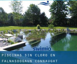 Piscinas sin cloro en Falnasoogaun (Connaught)