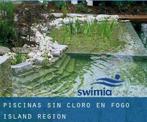 Piscinas sin cloro en Fogo Island Region