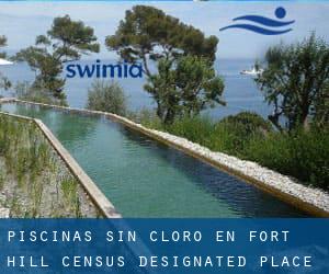 Piscinas sin cloro en Fort Hill Census Designated Place