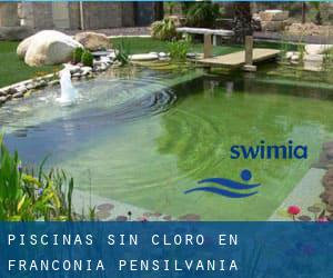 Piscinas sin cloro en Franconia (Pensilvania)