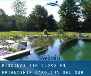 Piscinas sin cloro en Friendship (Carolina del Sur)