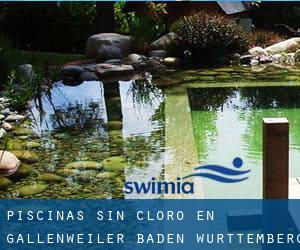 Piscinas sin cloro en Gallenweiler (Baden-Württemberg)