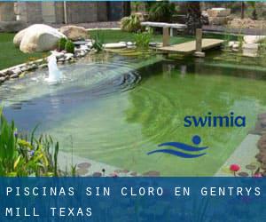 Piscinas sin cloro en Gentrys Mill (Texas)