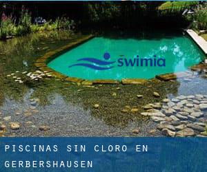 Piscinas sin cloro en Gerbershausen