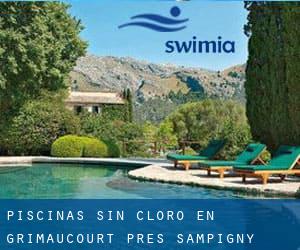 Piscinas sin cloro en Grimaucourt-près-Sampigny