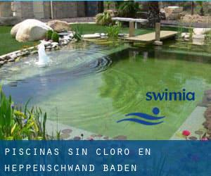 Piscinas sin cloro en Heppenschwand (Baden-Württemberg)