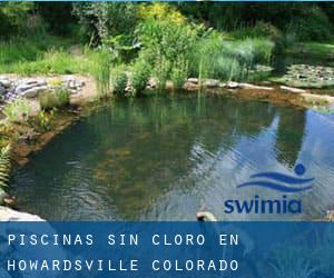 Piscinas sin cloro en Howardsville (Colorado)